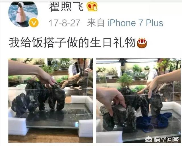 翟煦飞雷佳音结婚照:苏享茂案件后，翟欣欣和苏享茂家人现在的状况如何