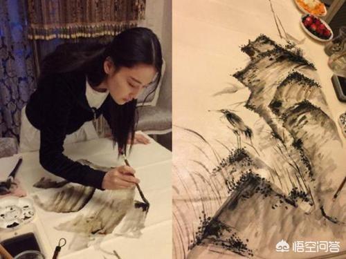明星张馨予老公是谁:如何看待张馨予的绘画作品？你觉得水平怎么样？