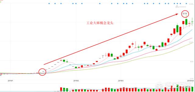 一个板块里有多只股票涨停,如何判断哪个是龙一哪个是龙二呢? - 第6张
