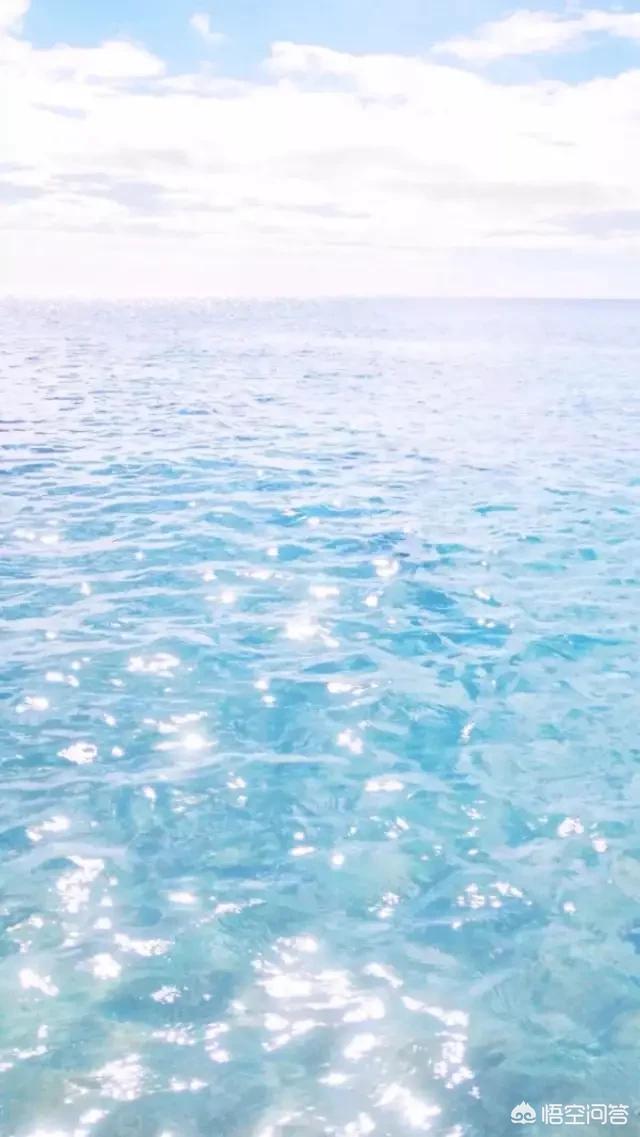 有没有什么好看的海洋壁纸,分享一下呗？