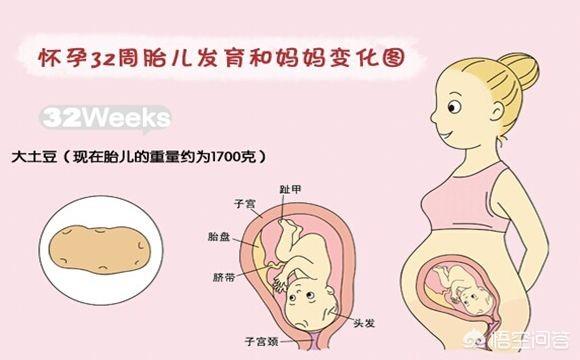 密春雷双胞胎多大了:喜欢成熟的女人，是心理问题吗？