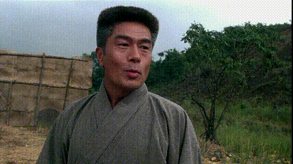 木幡龙:有哪些讲述民国军阀的电影？