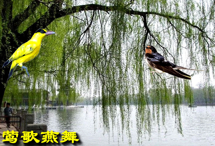 700_476gif 动态图 动图