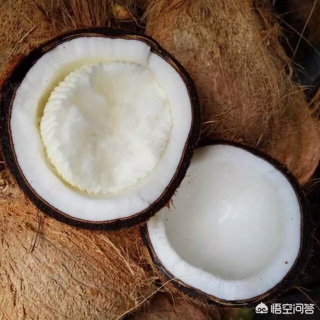 老椰子肉生吃的禁忌，椰子劈开以后的白色那层可以吃吗
