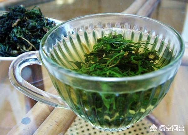 头条问答 - 苦苦菜与菊花泡水喝好吗?(2个回答)