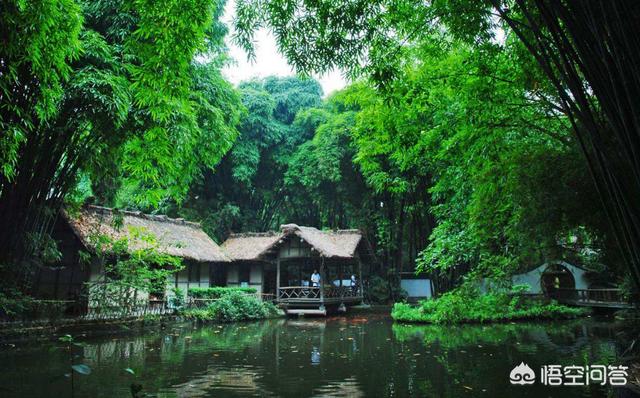 成都市内旅游攻略(成都市内旅游攻略2日游)