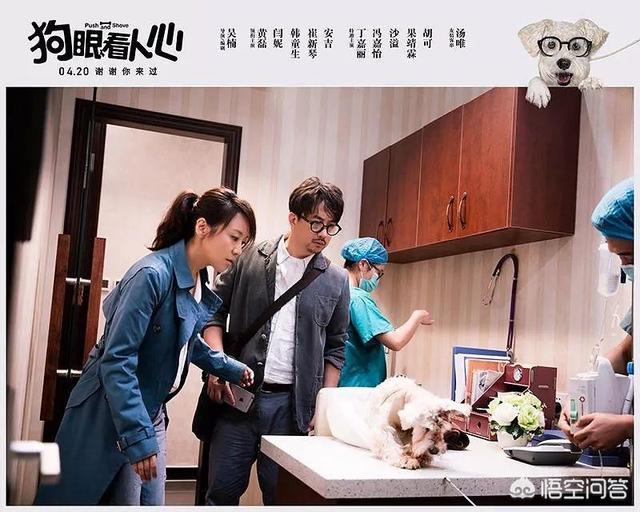 狗咬狗电影:电影《狗眼看人心》有哪些引人深思的细节？