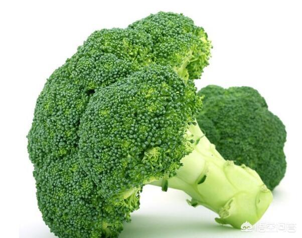幽门螺杆菌真的这么可怕吗?哪些食物对它有效呢？