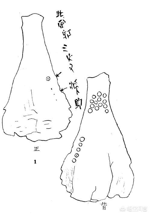 古人是如何用龟甲进行占卜的？怎么解读卜甲卜骨？