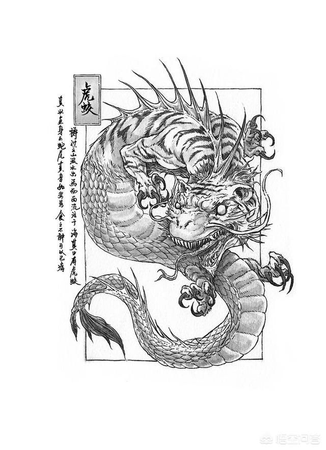象鱼:象棋 黄蜡石品质好的，能成为下一个新宠吗？