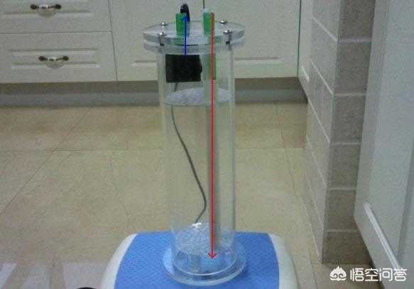 家用大鱼缸养鱼知识:什么样的过滤好（家用一体鱼缸）？ 家庭鱼缸养鱼知识大全
