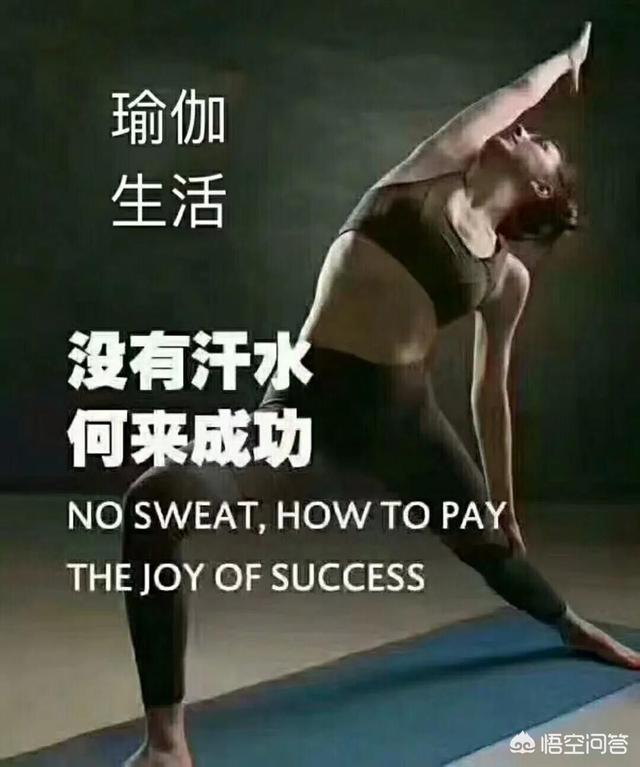 瑜伽狗:瑜伽体式海豚式怎么做？注意事项是什么？ 瑜伽狗爬式拉伸图解