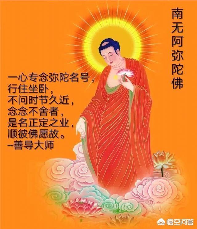 杜甫的诗歌有哪些名称？