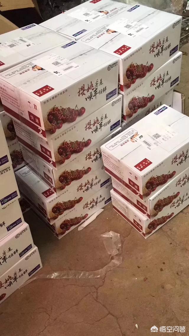 白鹿原樱桃(白鹿原樱桃谷)