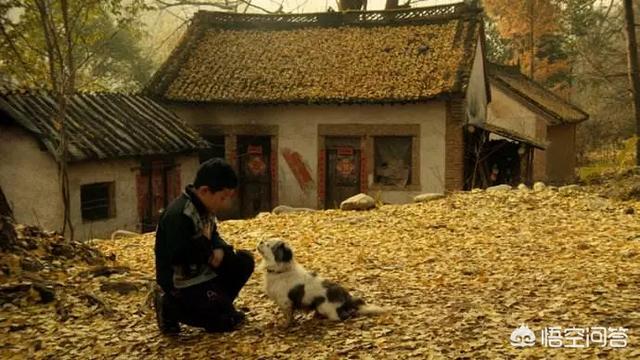 黄昏症候群:有哪些让人落泪的亲情电影？