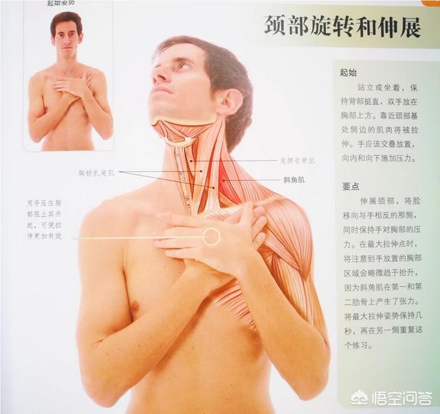 dagougou.cc:你当初是怎么喜欢上盆景的？
