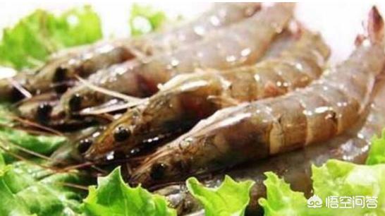 虾皮哪个部位更脏，吃虾没有去除虾线，对身体有什么危害吗