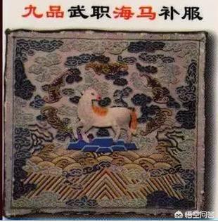 哈尼族白鹇鸟:为什么古代的文武百官衣服上都纹有飞禽走兽啊？