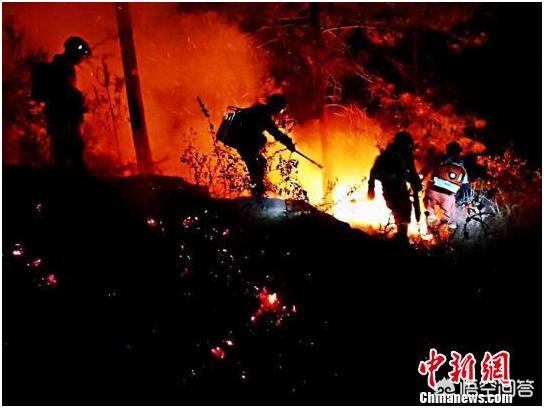 翁丁佤寨明火已扑灭:晋宁山火明火已扑灭，过火面积约14.67公顷, 你怎么看