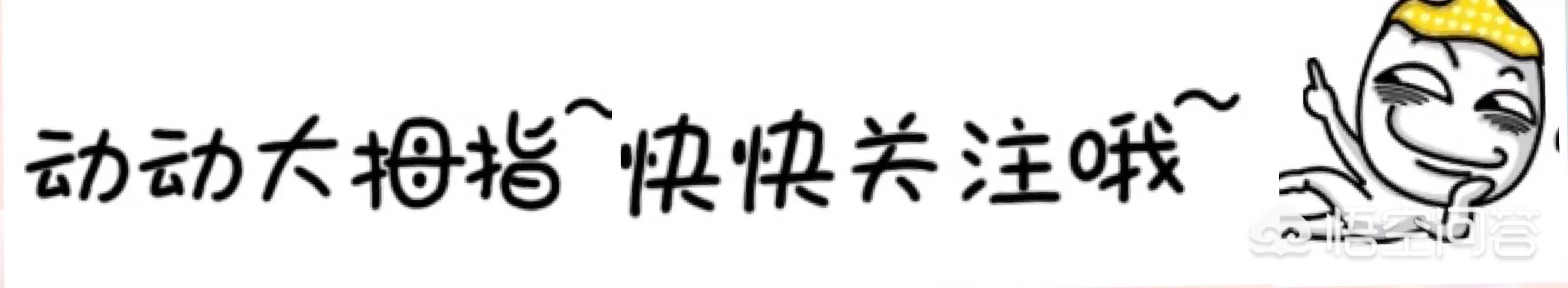 2个月小狗拉稀:两个半月小法牛拉肚子该怎么办？