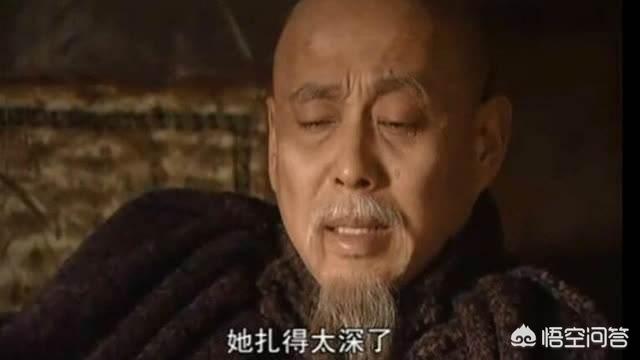 明朝和清朝都两百多年，明清两朝的皇帝哪个执政能力强？