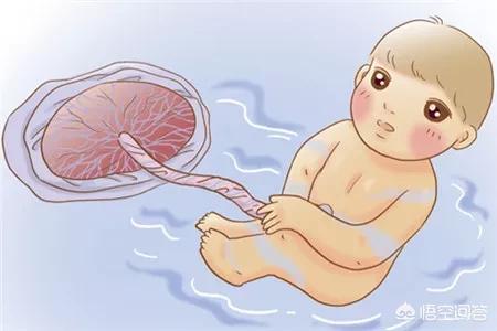 胎盘壮阳吗，为什么会有人吃孕妇的胎盘，真的有营养吗