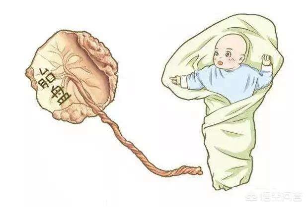 生完孩子胎盘怎么处理，你们老婆生完孩子胎盘怎么处置的