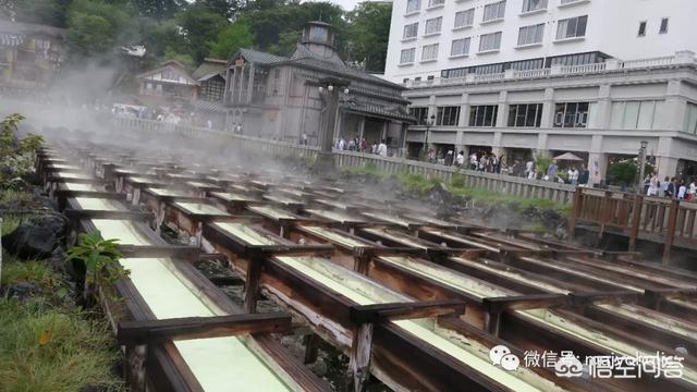 八公像在日本东京涩谷车站:东京周边有哪些小众旅行地？