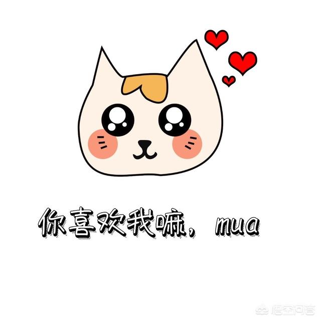 我正在考科三,想问问大家考的驾照都花了多少钱？好不好考,哪个科目比较难？