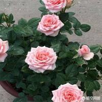 宴请朋友亲戚,你们那里关于座位有讲究吗？