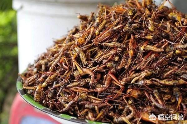 云南淋可可是真的吗:云南有哪些已经消失的香烟