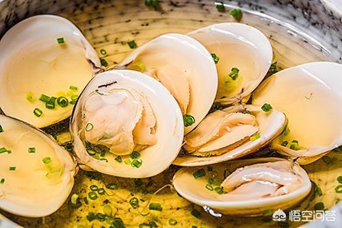 孕妇可以吃狗肉吗:怀孕十一周，可以吃狗肉吗？ 孕妇可以吃狗肉吗中期