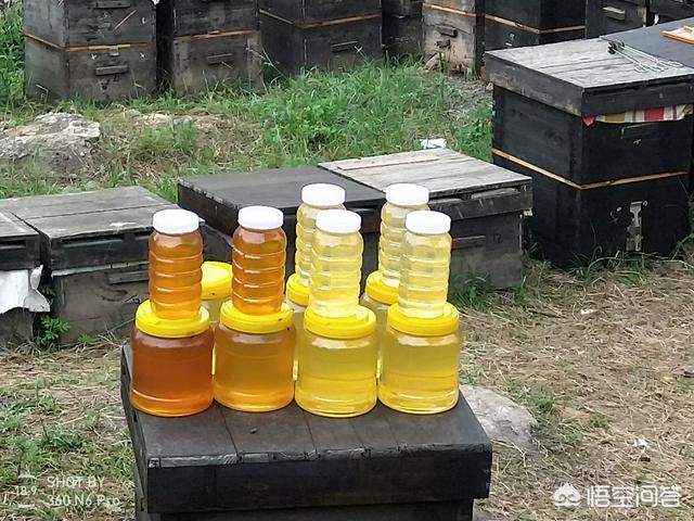 椴树蜜多少钱一斤，你觉得现在纯蜂蜜的价格多少钱一斤可以接受