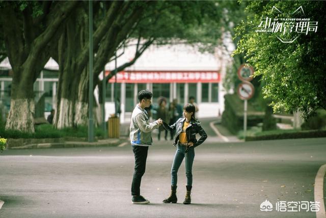 周海媚资料:新版《倚天屠龙记》上映了，剧中有哪些情节让你不得不吐槽两句