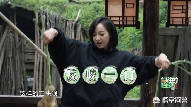 青春不败第一季:为何宋茜在《向往的生活》对农家生活的经验如此丰富？