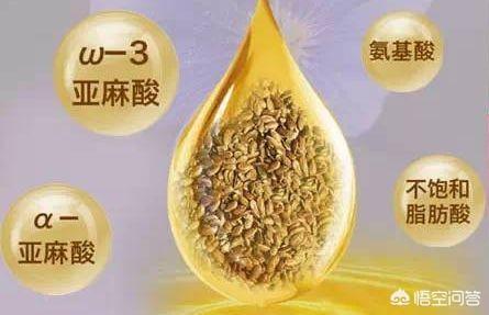 脂肪:人体脂肪也有好坏之分吗？