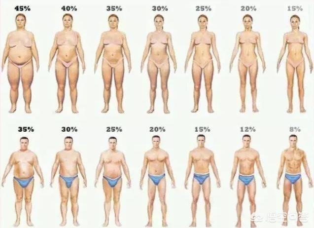 头条问答 请问一下 目前体脂率19 还需要做有氧运动吗 还是说就做力量运动就能减下来 行远健身的回答 0赞