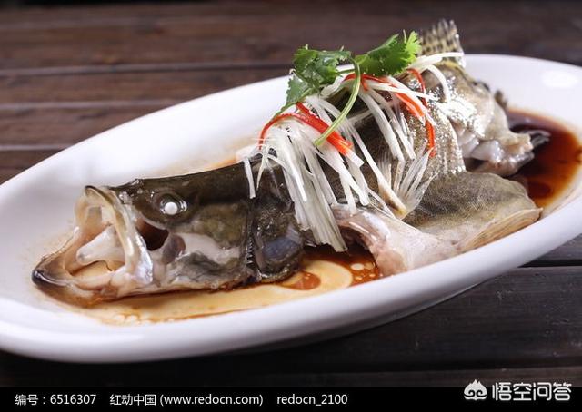 鲈鱼最好吃的六种做法怎样做桂鱼？