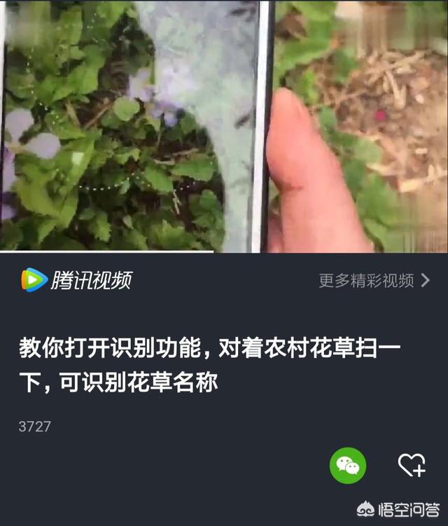 微信的“扫一扫”有多强大，有哪些鲜为人知的功能