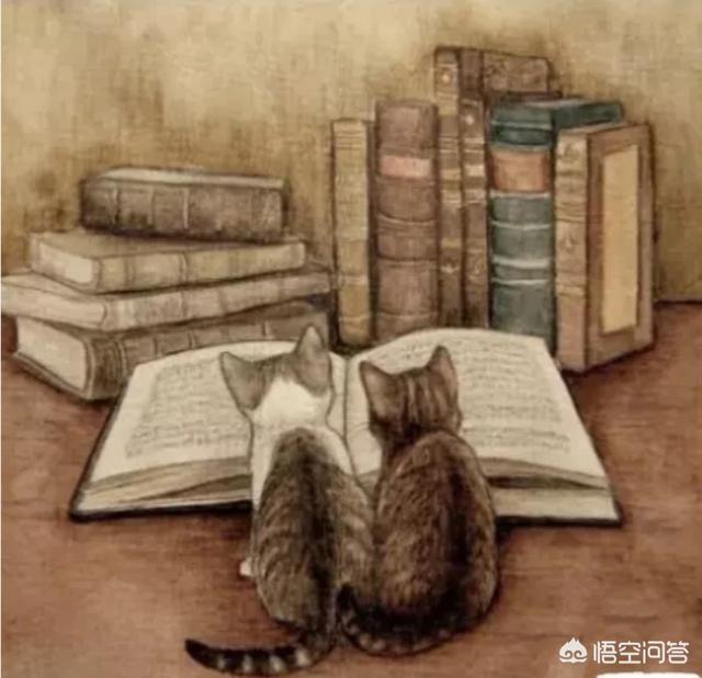 生活中有哪些实用的心理学知识？