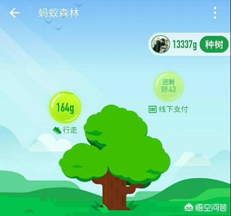 支付宝的蚂蚁森林里行走产生的能量是不是都统一为第二天早上7:30收取？