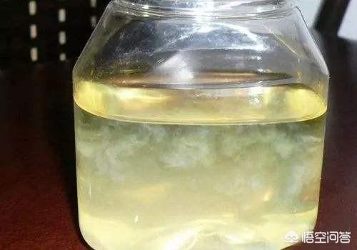 头条问答 - 小便浑浊是什么原因?(18个回答)