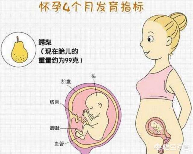 孕妇四个月有哪些注意事项，怀孕到了第4个月的时候是什么感觉呢？
