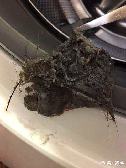 清洗洗衣机的小窍门，有什么简单的方法可以清理洗衣机