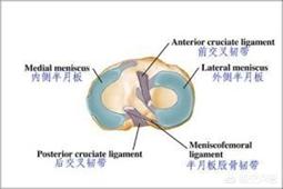 半月板损伤症状:半月板损伤症状的表现 半月板损伤了的话，还适合做深蹲吗？