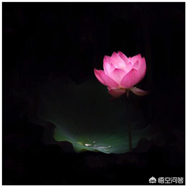 微信<a href=https://maguai.com/list/256-0-0.html target=_blank class=infotextkey><a href=https://maguai.com/list/256-0-0.html target=_blank class=infotextkey>朋友圈</a></a>小技巧有哪些:微信有哪些鲜为人知的使用技巧？