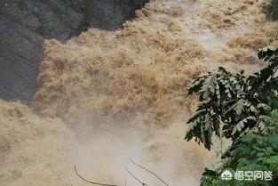 地震后的狗狗高清:狗在地震发生前会有什么反应？ 地震狗狗叫主人
