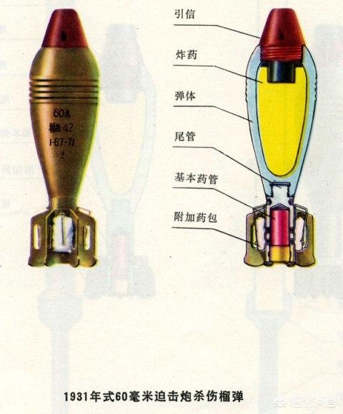 供应尼龙丝印宠物牵引带套装:有哪些是养狗过程中很实用的道具？