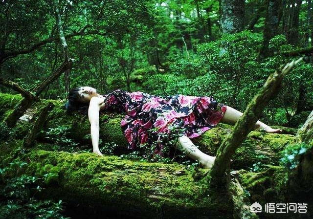 温彻斯特神秘屋:今年你的旅行计划实施了吗？