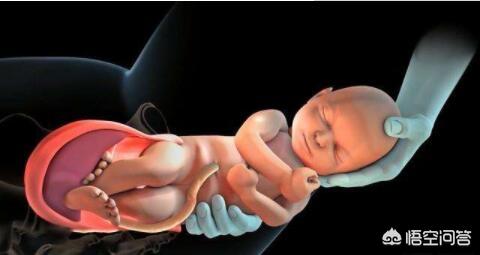 家中贵子出生的前兆,你相信历史上名人出生，总是天生祥瑞吗？